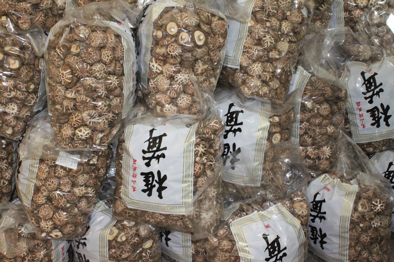 カットオフホワイトマッシュルームAA